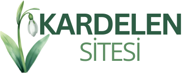 Erzurum Kardelen Sitesi
