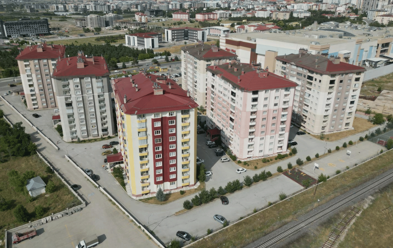 kardelen (3)